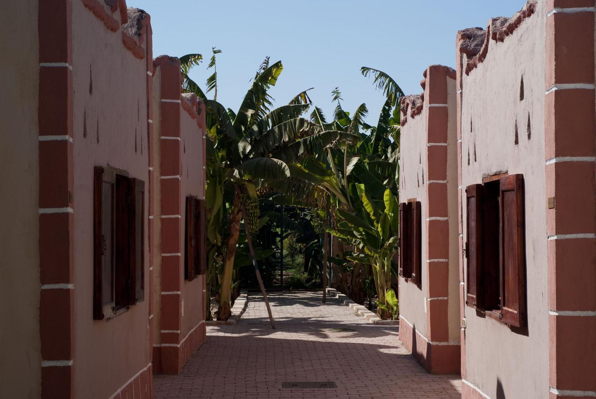 Al Baeirat Hotel Luxor Exterior photo